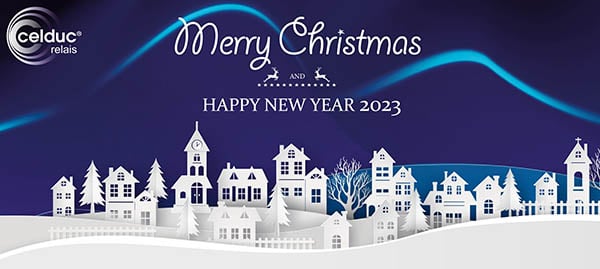 EN-Merry-Christmas-Happy-New-Year-2023-celduc-relais