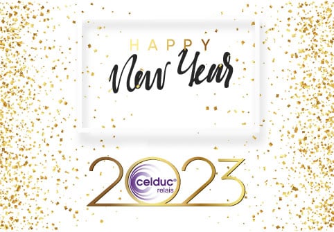 Niveau1_NewYear_2022_celduc-relais