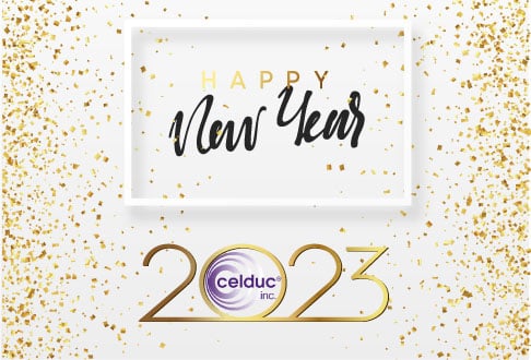 Niveau1_NewYear_2_celduc-inc-1
