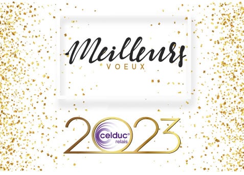 Niveau1_Voeux-2022_celduc-relais