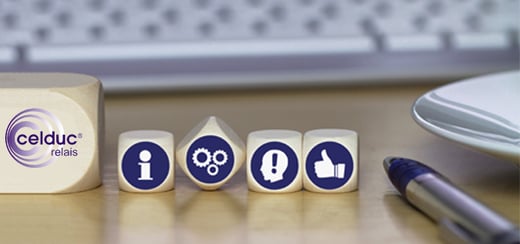 Niveau2-digitalization-workshop
